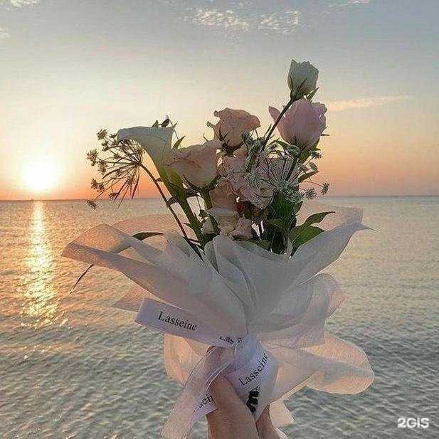 Отзывы на компанию Дива в г. Анапа c фото