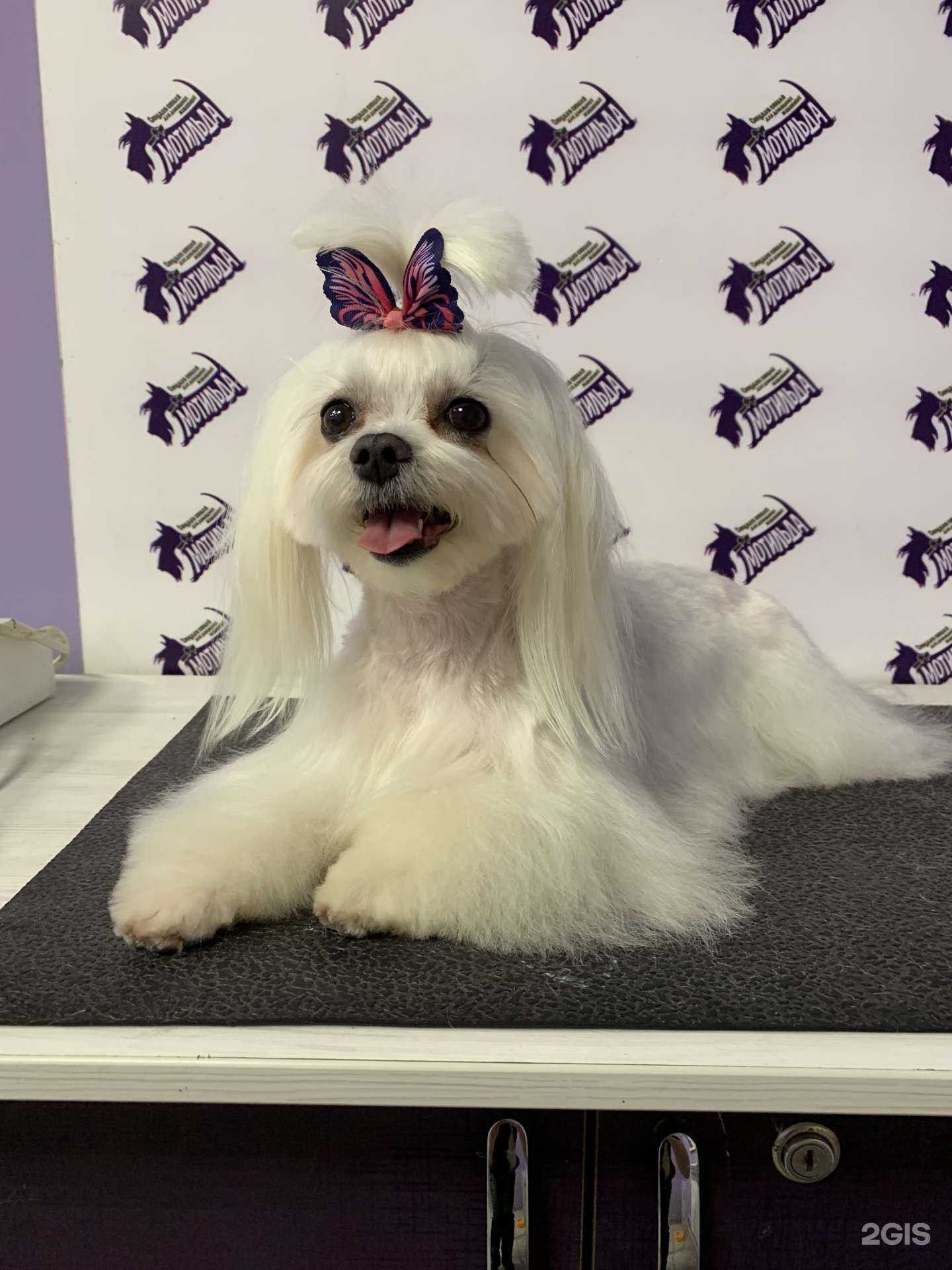 Отзывы на компанию Мотильда в г. Белгород c фото