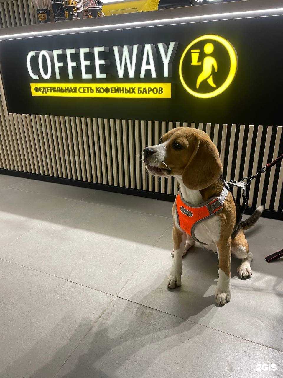 Отзывы на компанию Coffee Way в г. Пенза c фото