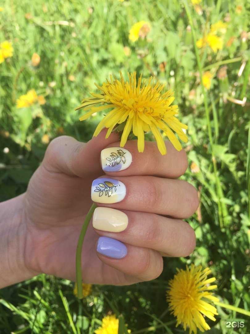 Отзывы на компанию  Сусанна в Петрозаводске c фото