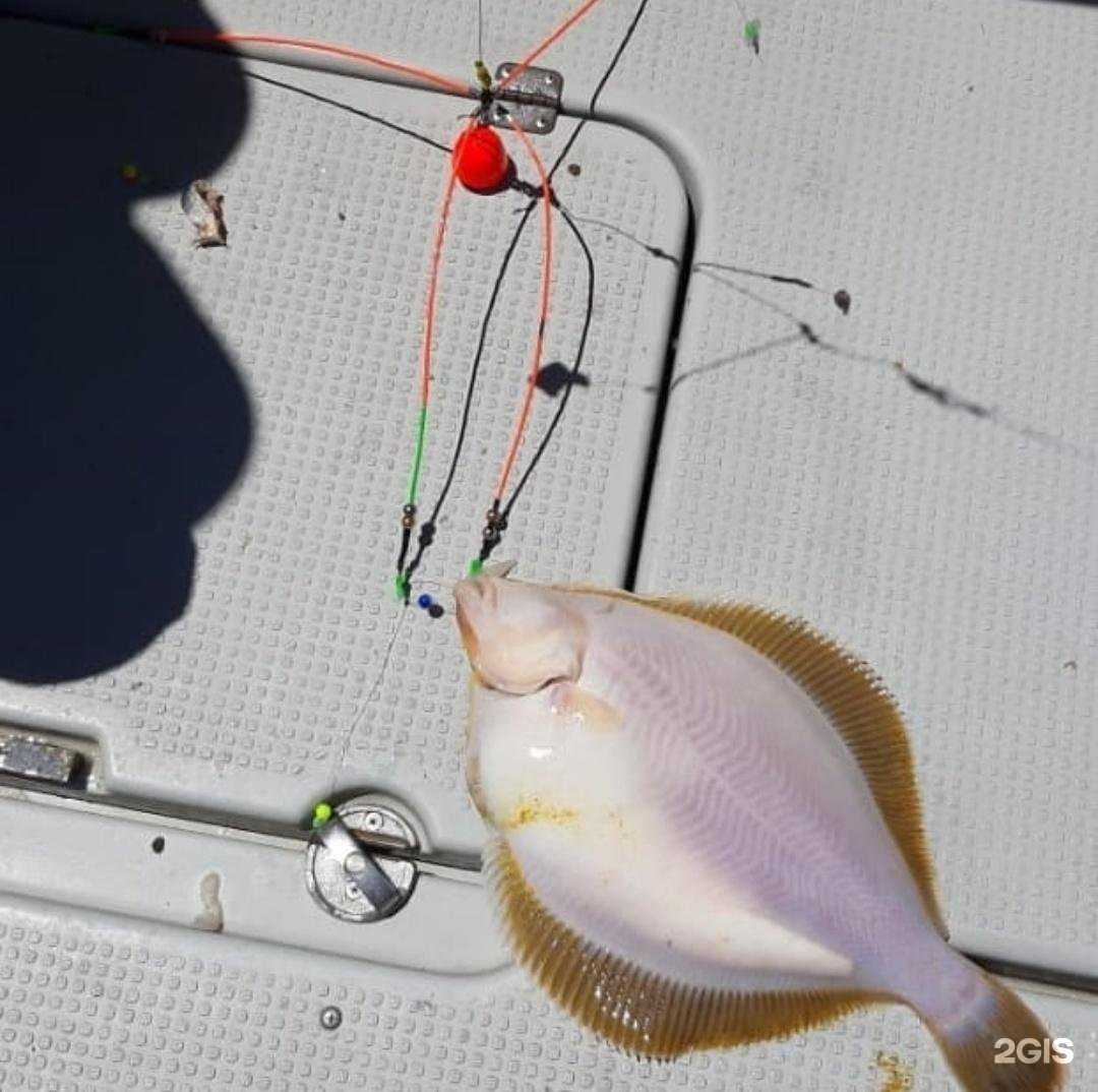 Отзывы на компанию Японские черви в г. Уссурийск c фото