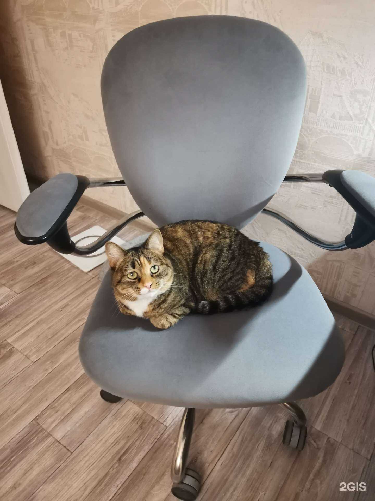 Отзывы на компанию Аленсио-Омск в г. Омск c фото