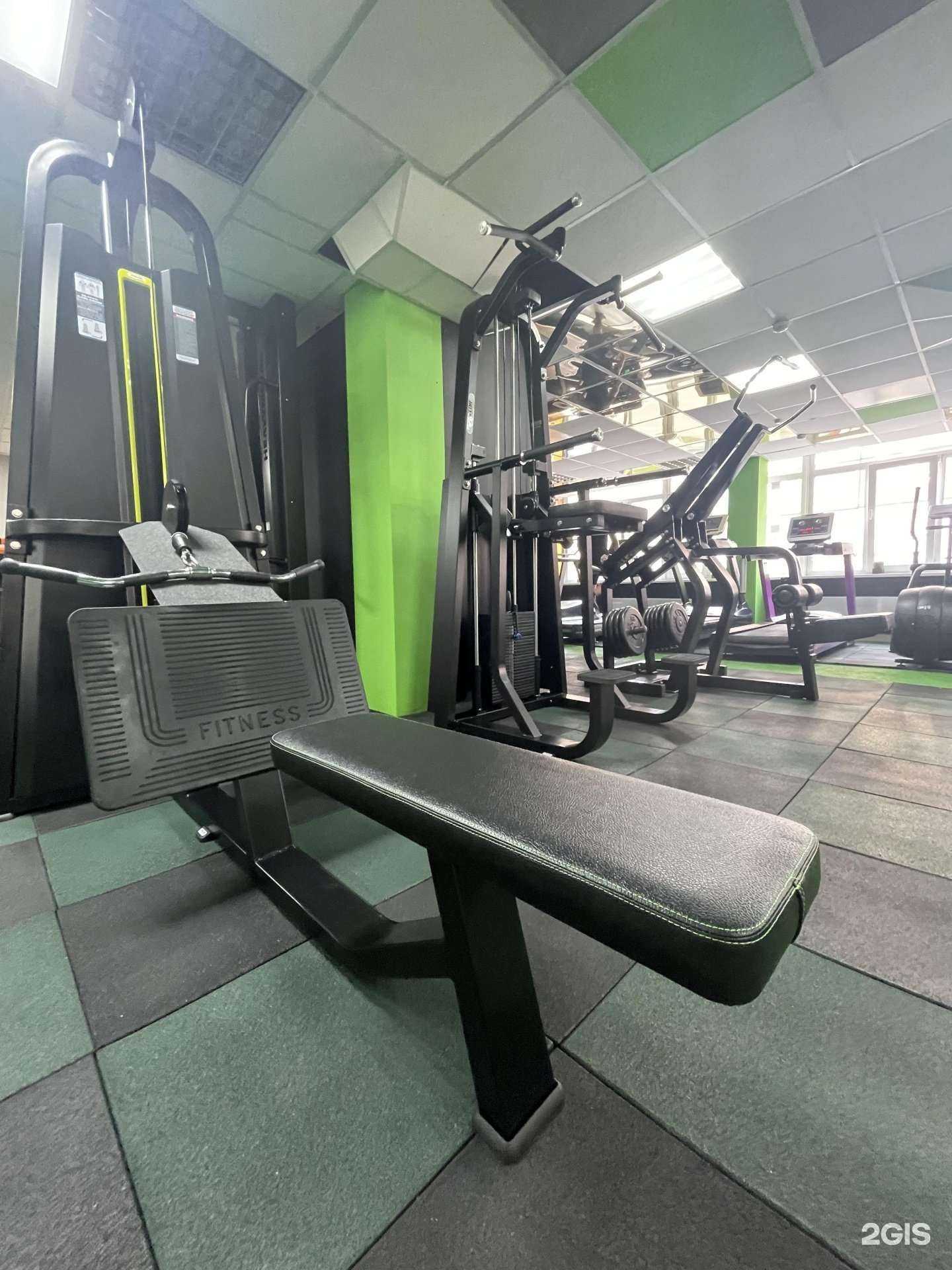 Отзывы на компанию Green gorillaz в Кемерове c фото