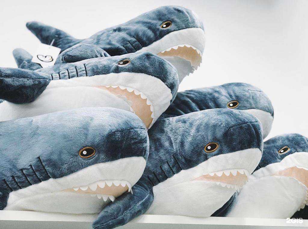 Отзывы на компанию Чайка в Твери c фото