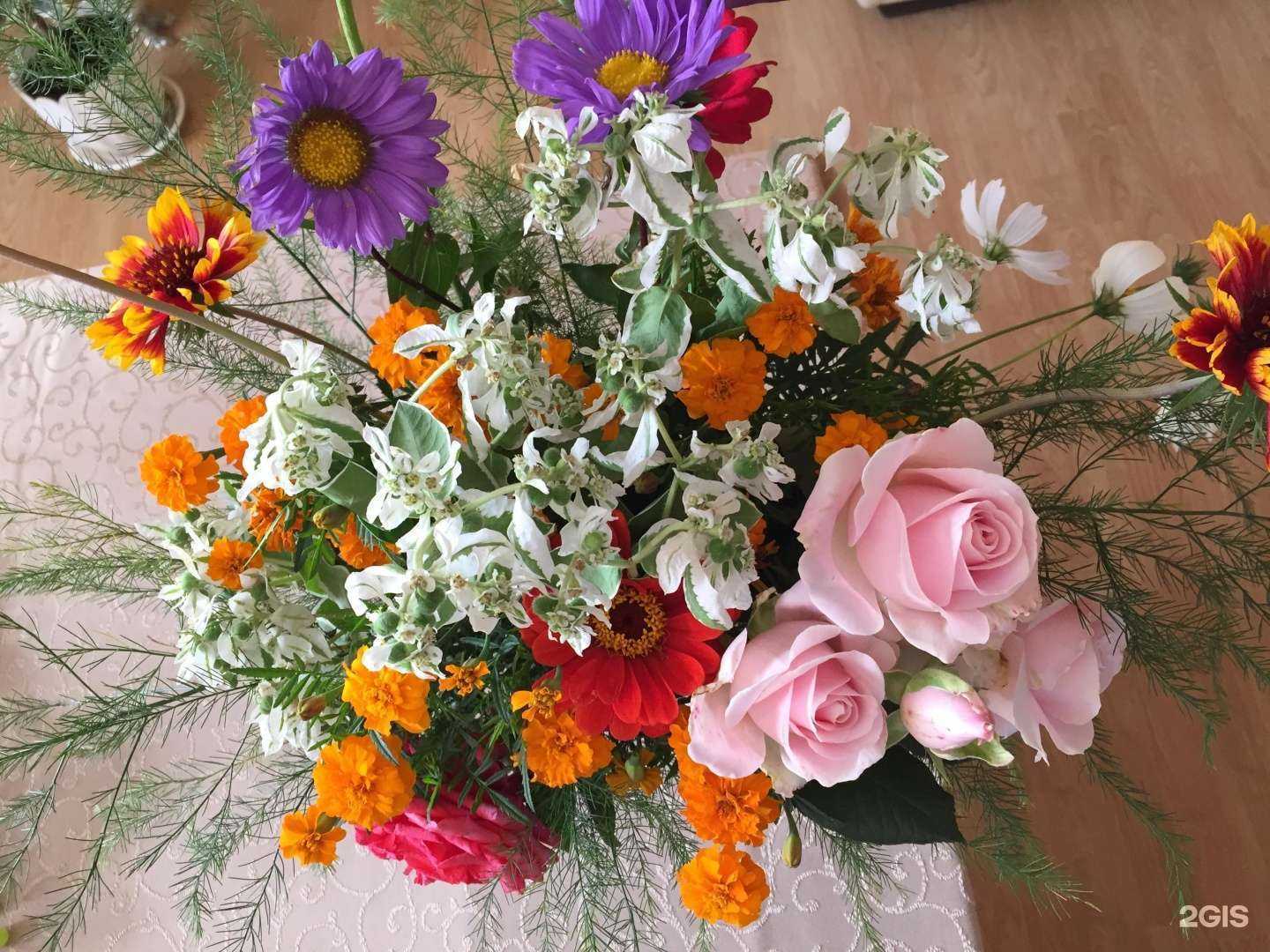 Отзывы на компанию English+ в г. Сургут c фото