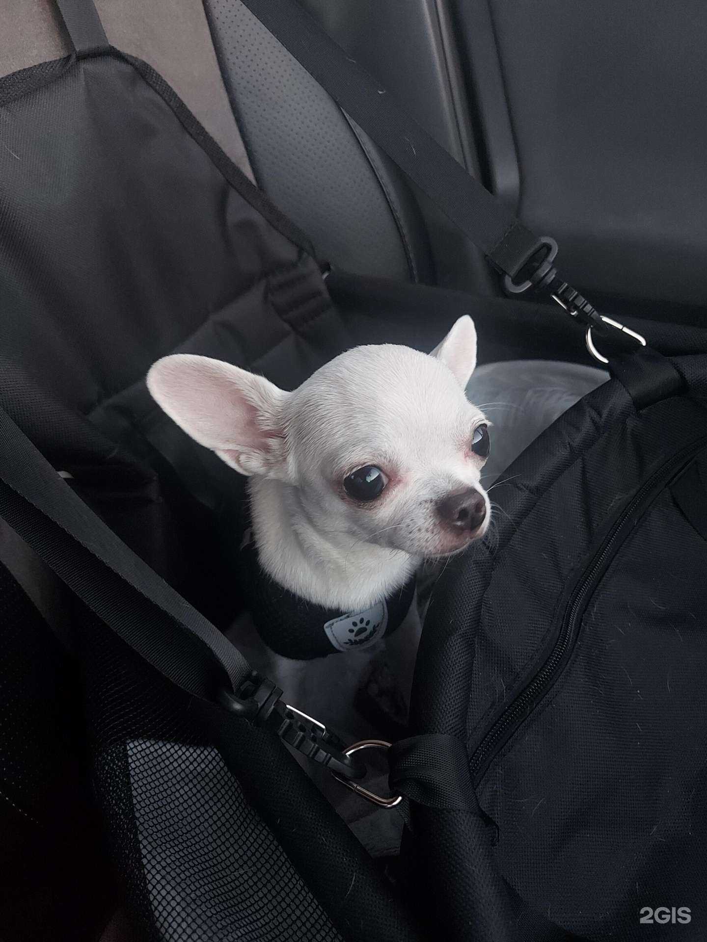 Отзывы на компанию Кебаб Хаус в г. Хабаровск c фото