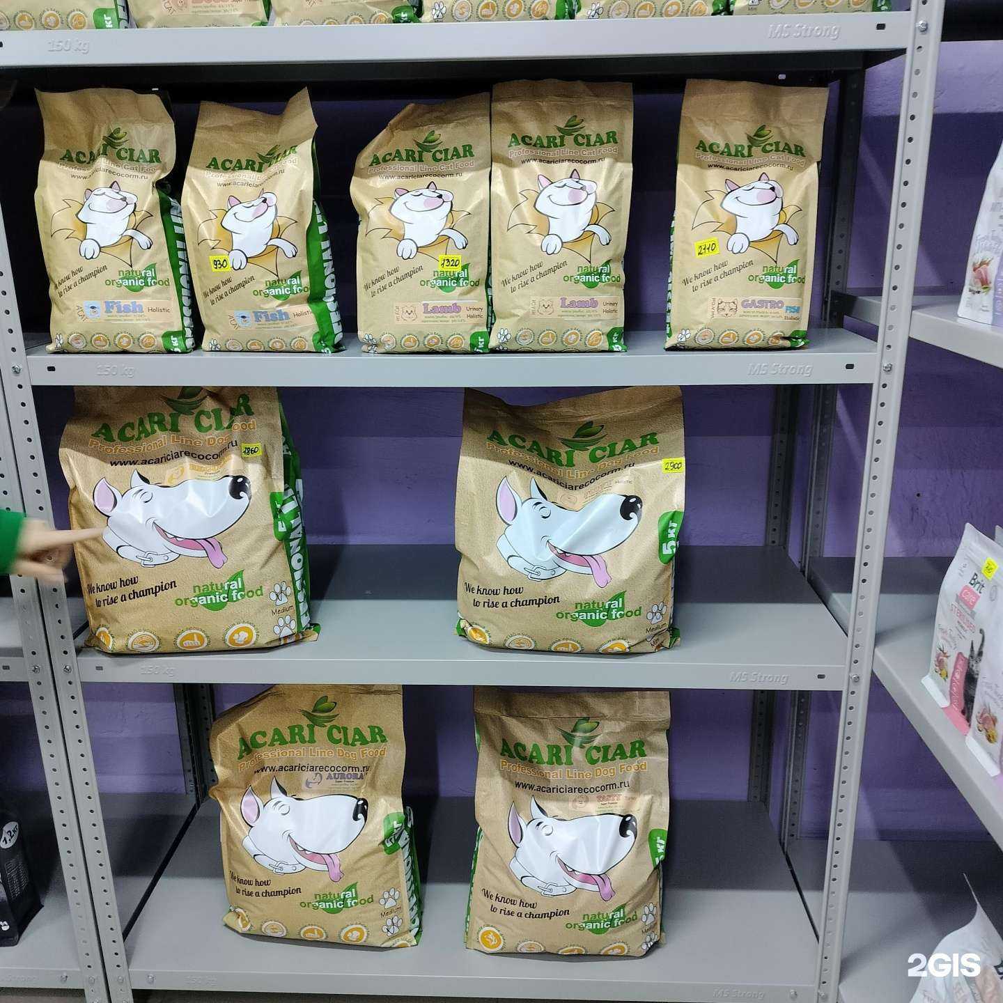 Отзывы на компанию Кот Гудман в Анапе c фото