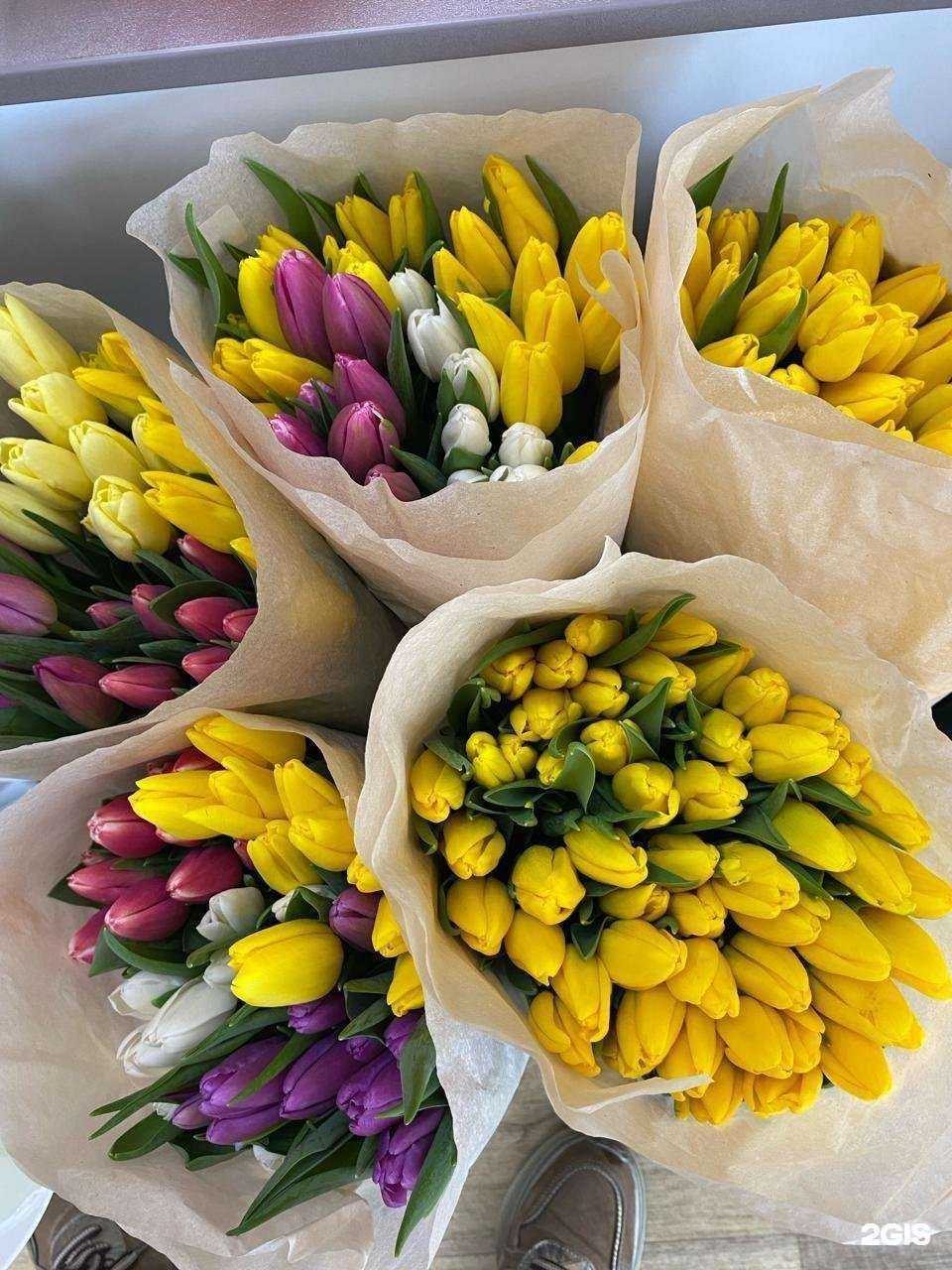 Отзывы на компанию Магнолия в Тольятти c фото