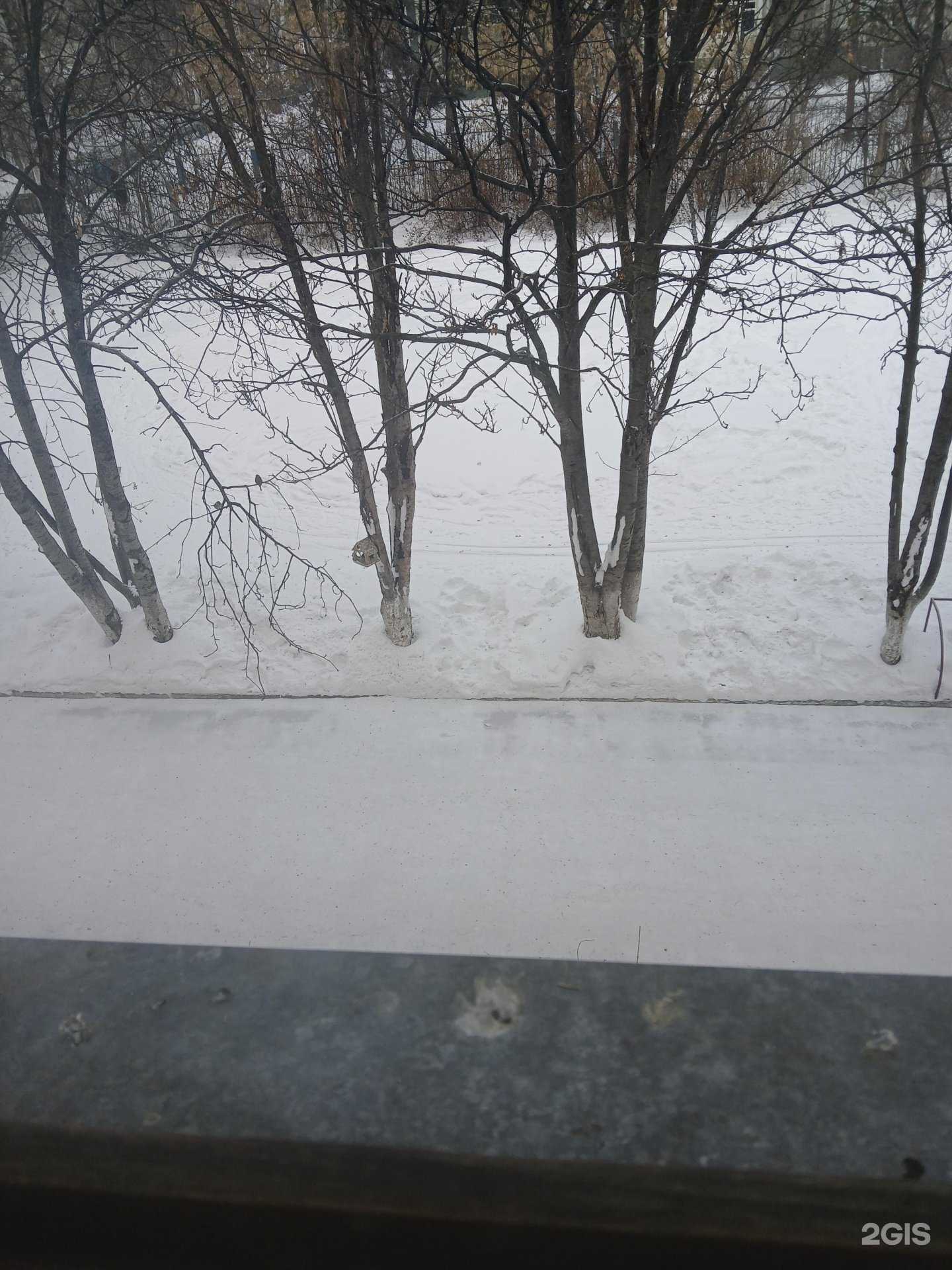 Отзывы на компанию Центр детского и юношеского туризма и экскурсий (юных туристов) им. Ю. Двужильного в Кемерове c фото - фотография 2 из 2