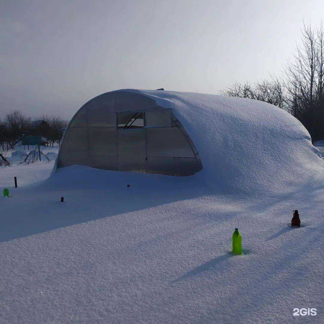 Отзывы на компанию Бамбук в Пензе c фото