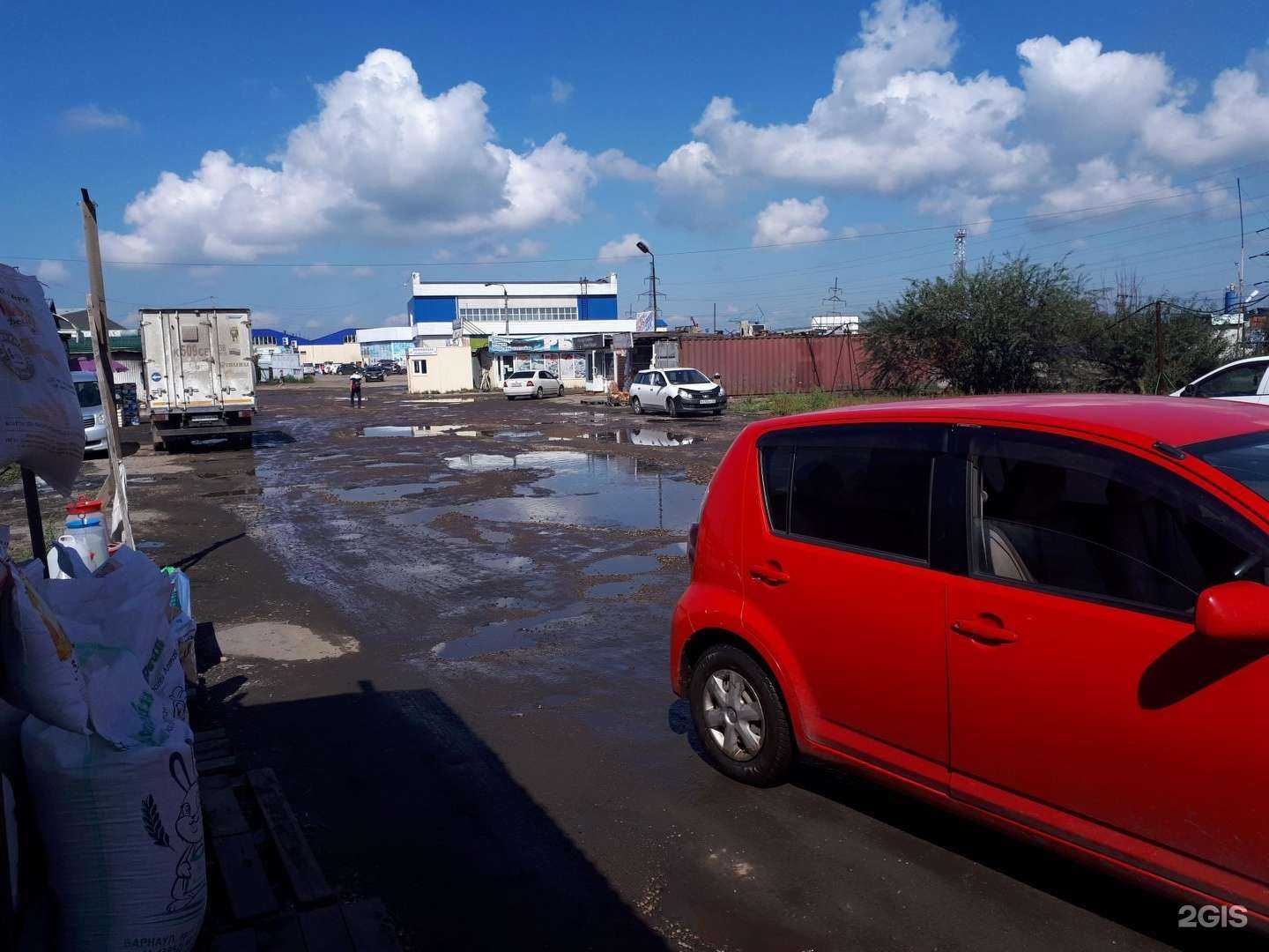 Отзывы на компанию Кошкин рай в Иркутске c фото - фотография 2 из 2