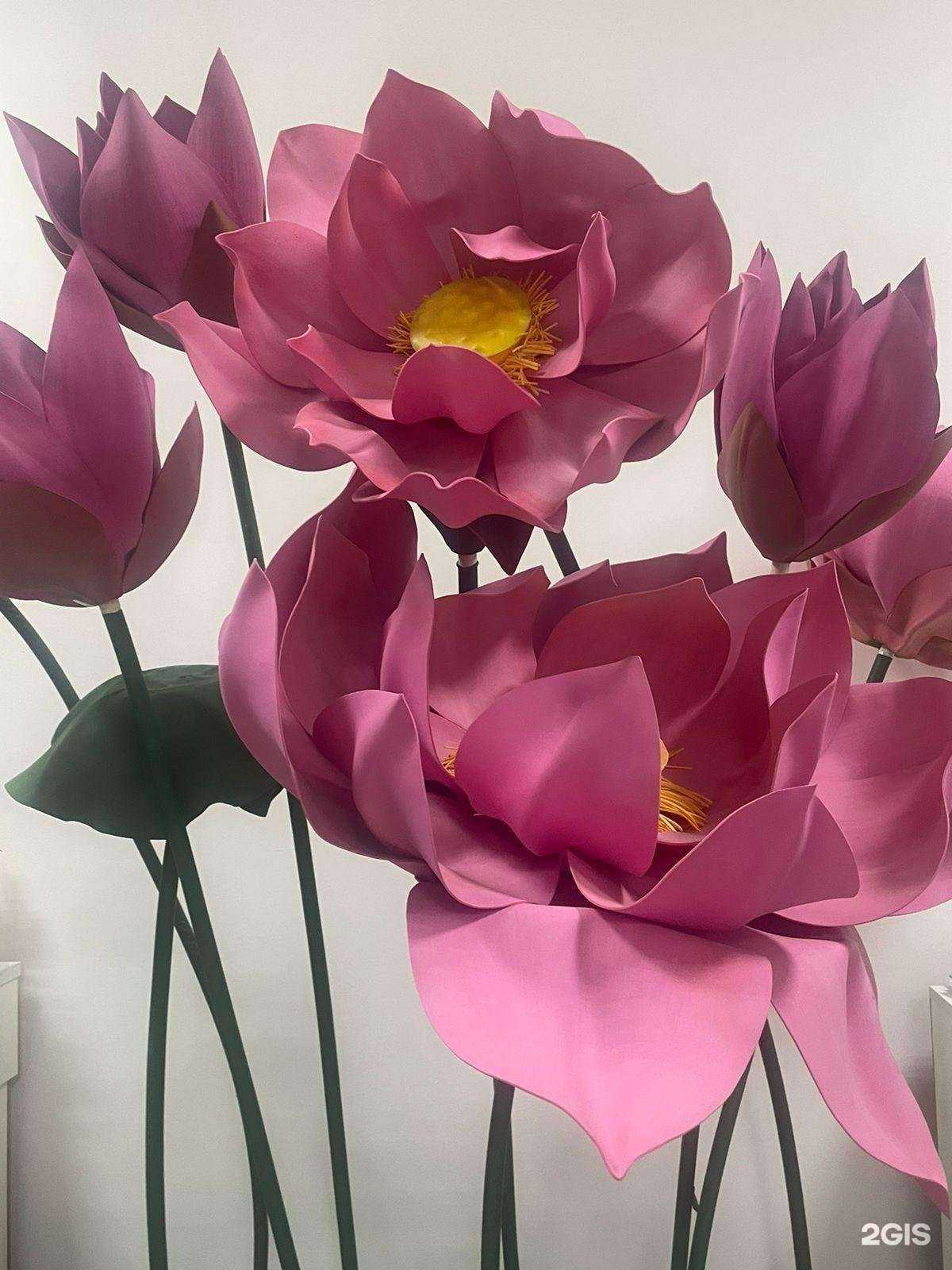 Отзывы на компанию Дария-Тур в г. Астрахань c фото