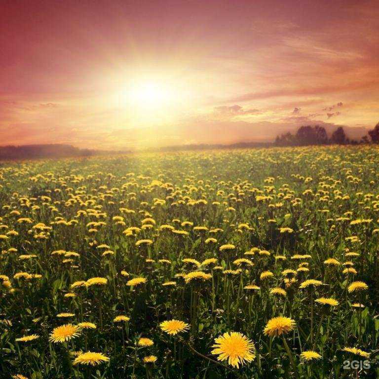 Отзывы на компанию Командор-мебель в г. Ревда c фото