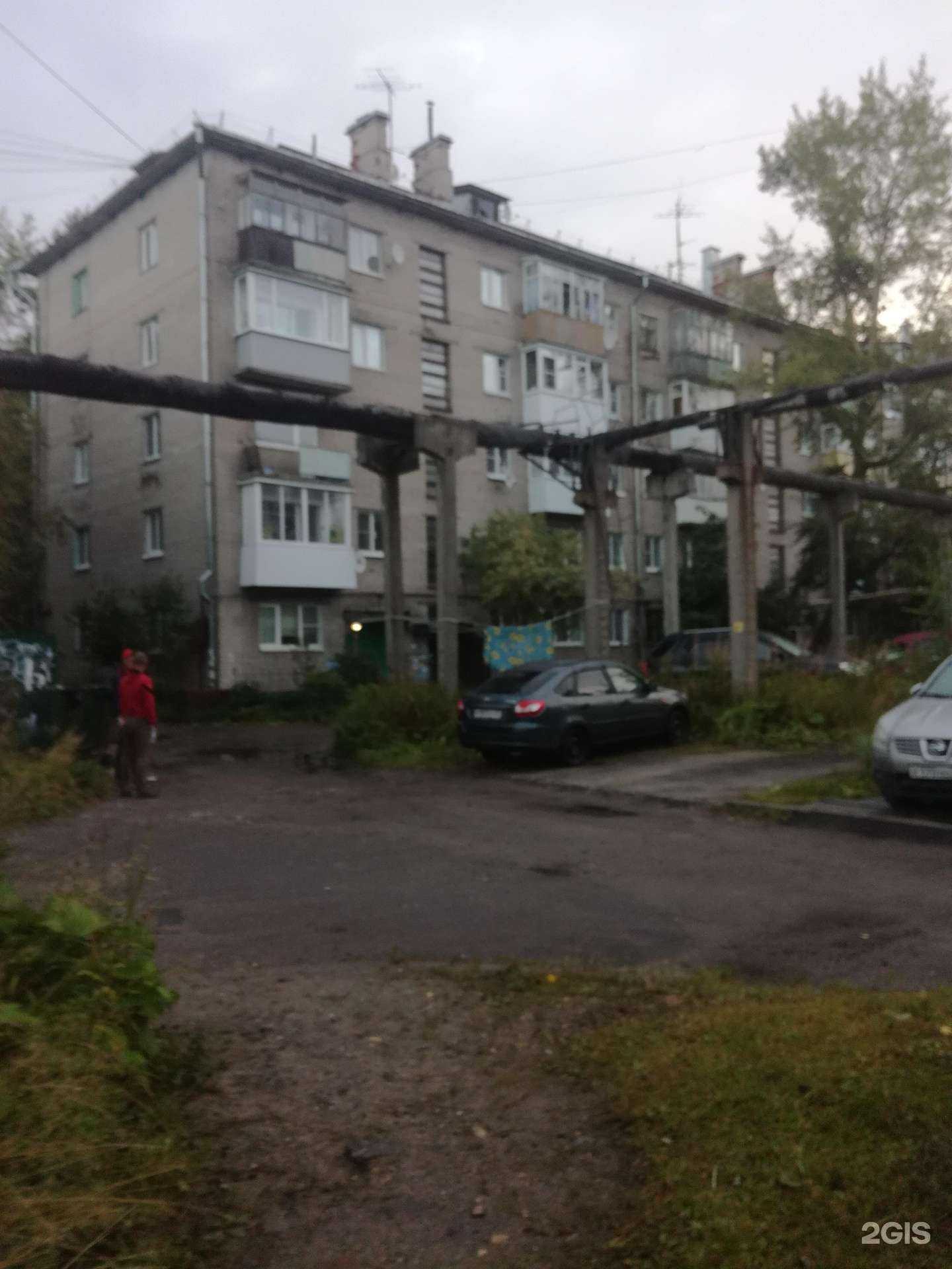 Отзывы на компанию Здравсити в г. Архангельск c фото