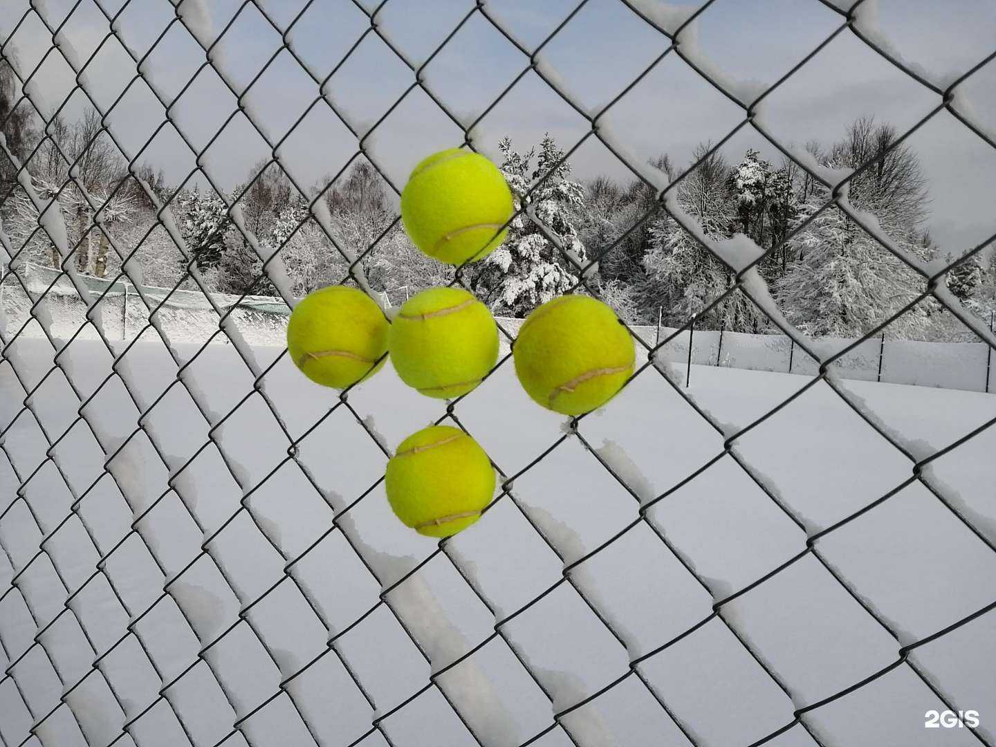 Отзывы на компанию Мастер в Пскове c фото