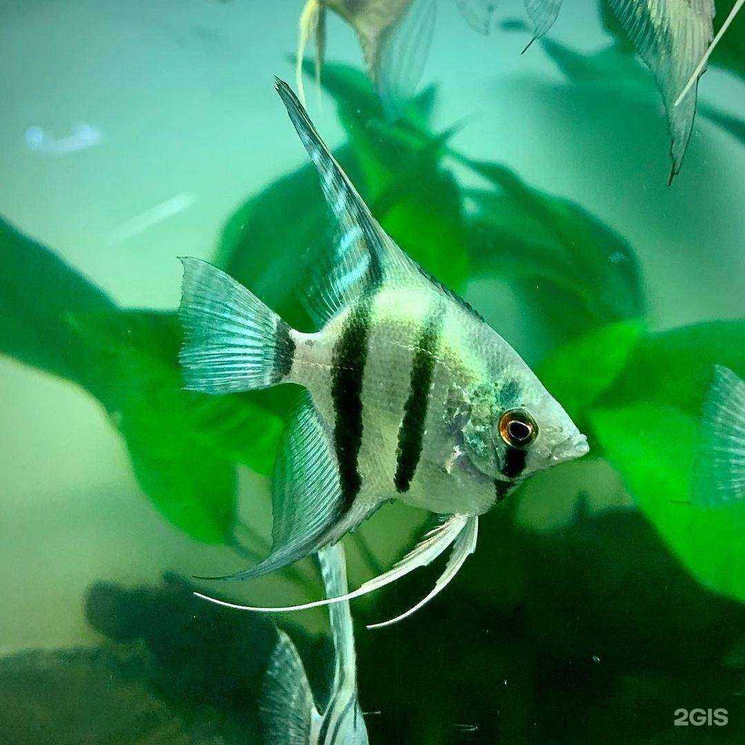 Отзывы на компанию Дискус63 в Самаре c фото