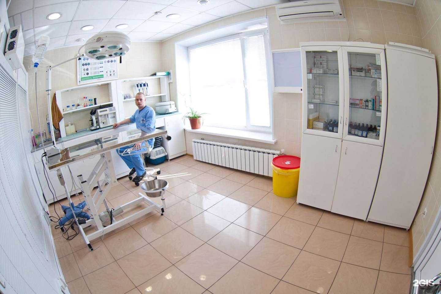 Отзывы на компанию Пес и кот в Сургуте c фото