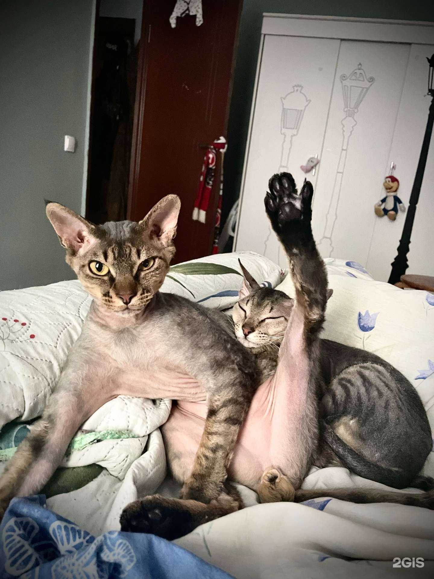 Отзывы на компанию Умка в Подольске c фото