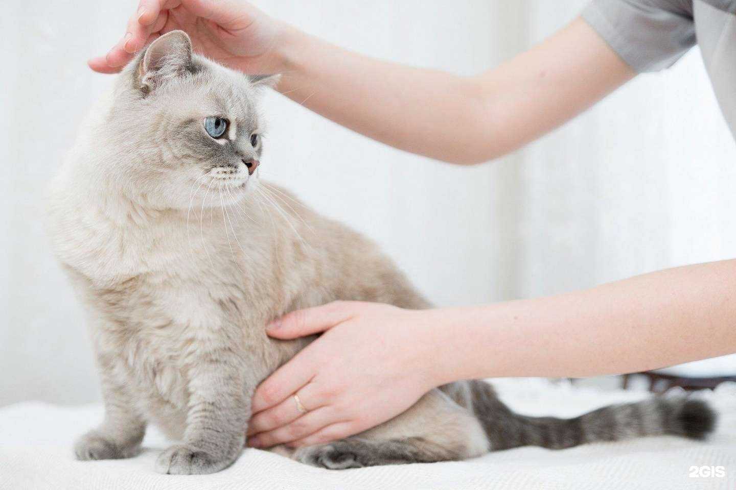 Отзывы на компанию Веста в г. Челябинск c фото