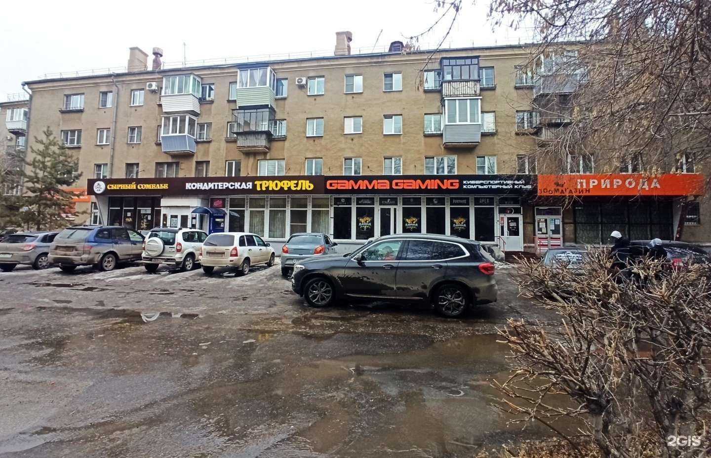 Отзывы на компанию Салон стрижки кошек и собак в Магнитогорске c фото - фотография 2 из 2