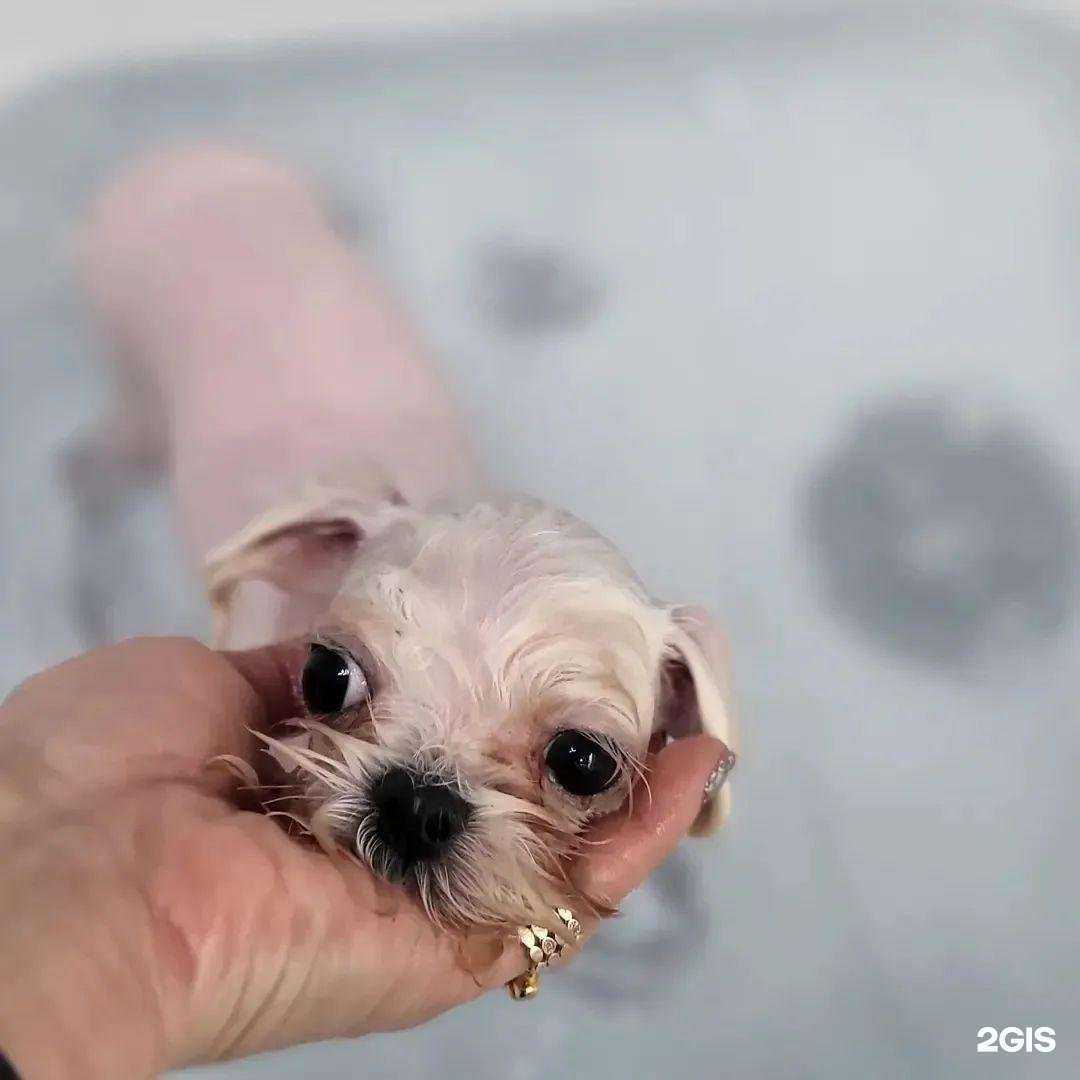 Отзывы на компанию Glamour в Нижнем Новгороде c фото