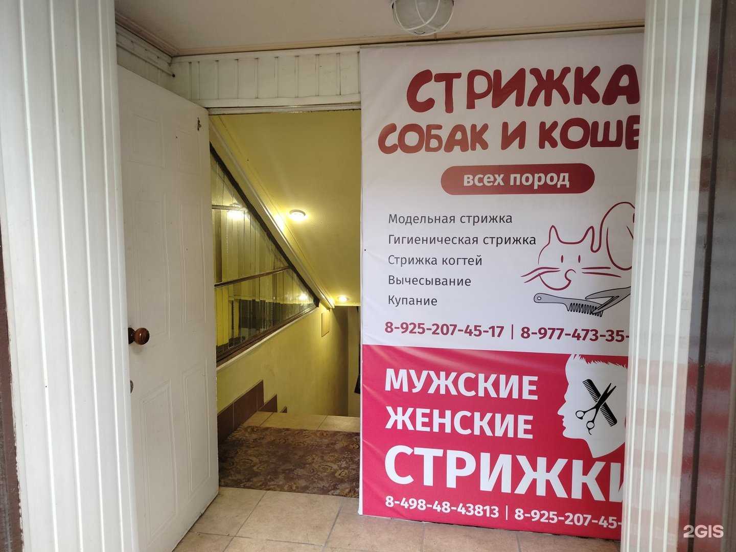 Отзывы на компанию Зоосалон в г. Жуковский c фото