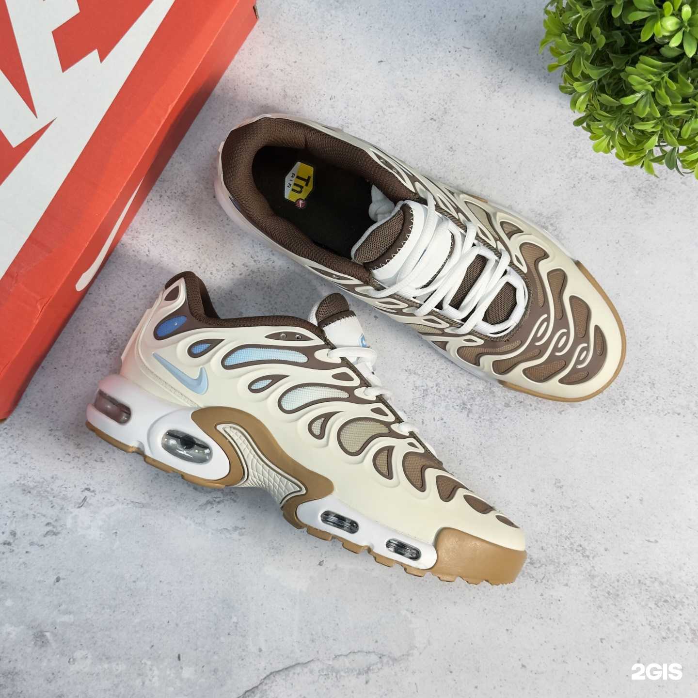 Отзывы на компанию WaySize в Тюмени c фото