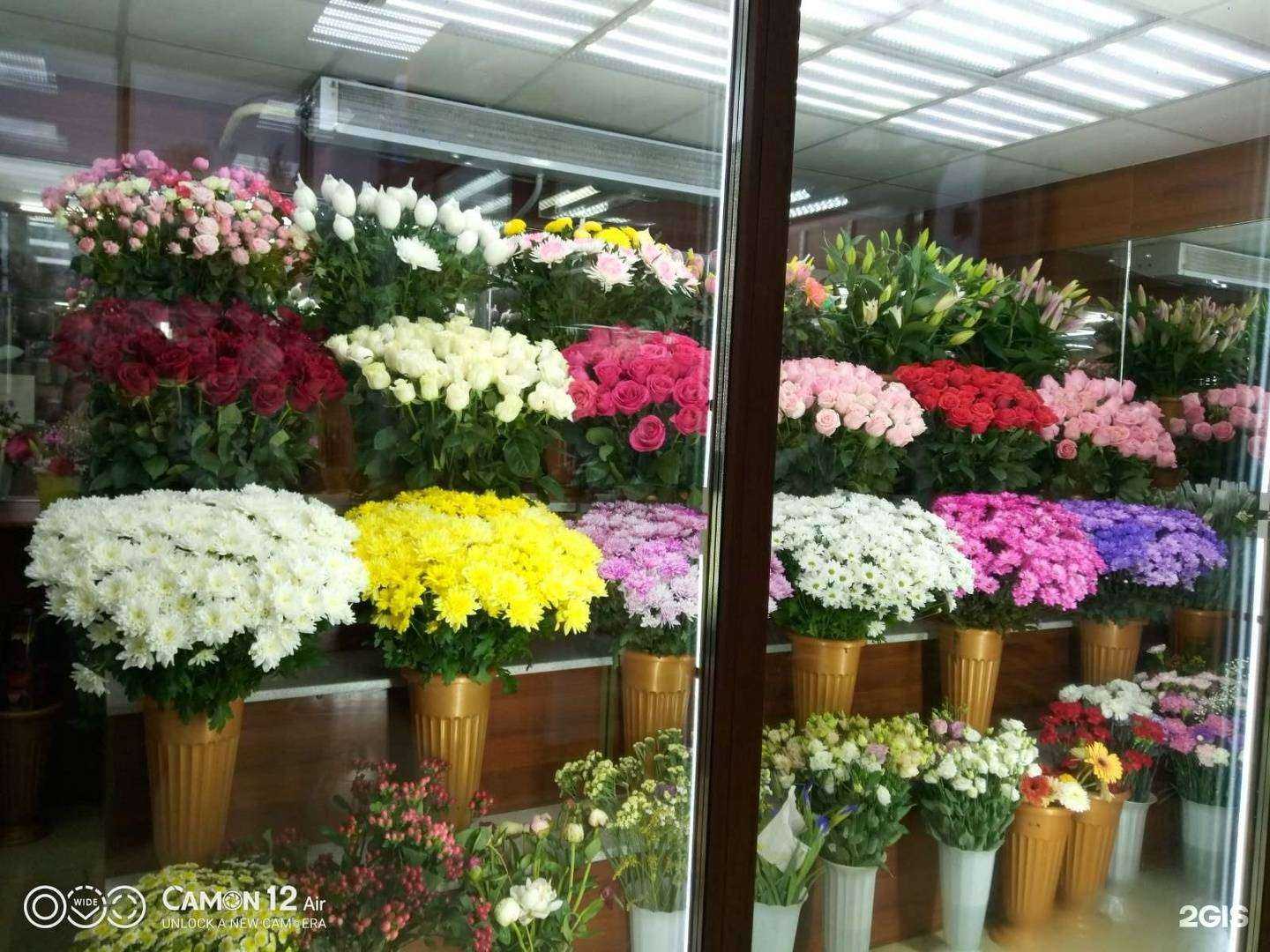 Отзывы на компанию Оазис в Чите c фото