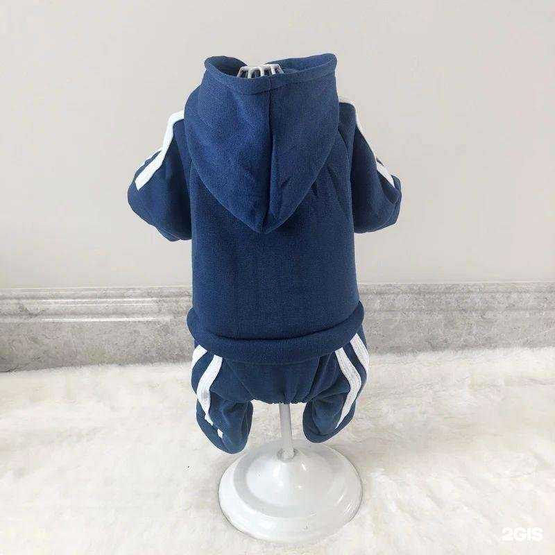 Отзывы на компанию Дай лапу в Георгиевске c фото