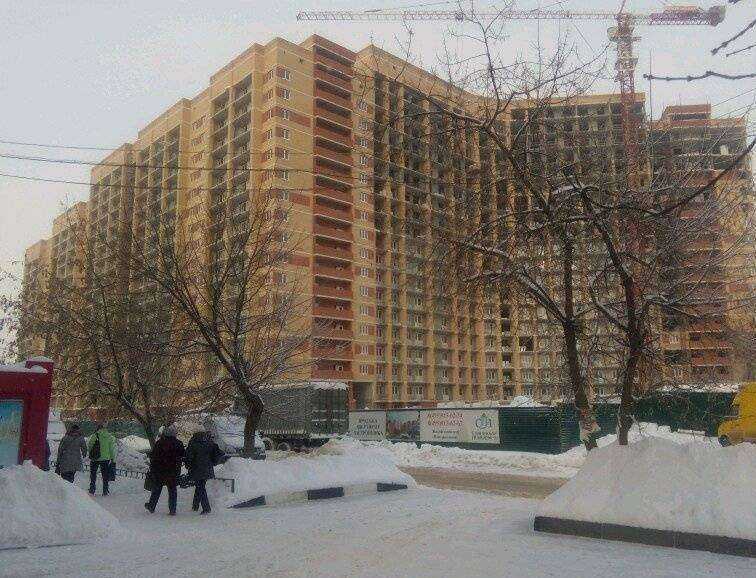 Отзывы на компанию Домашний любимец в Лыткарине c фото - фотография 2 из 2