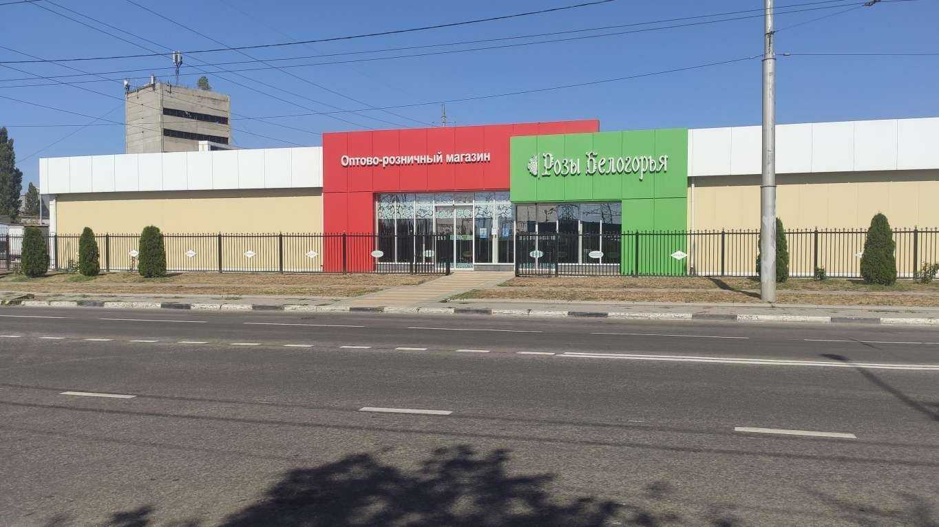 Отзывы на компанию Розы Белогорья в Белгороде c фото - фотография 2 из 2