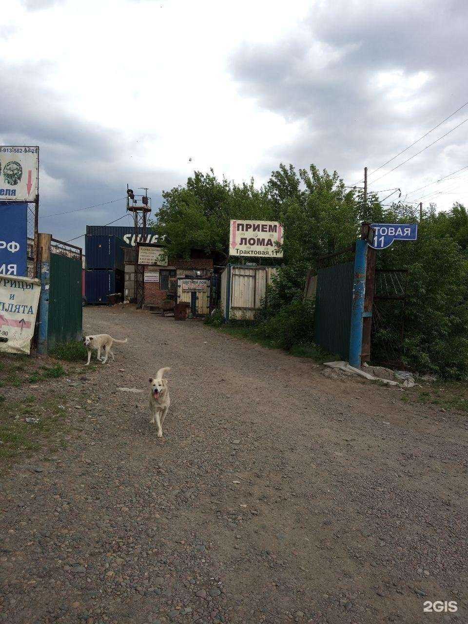 Отзывы на компанию Центрально-Сибирская ломозаготовительная компания в г. Красноярск c фото