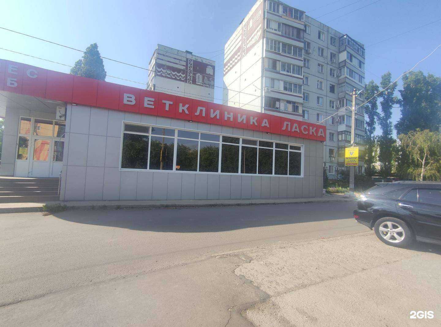 Отзывы на компанию Ласка в Балакове c фото