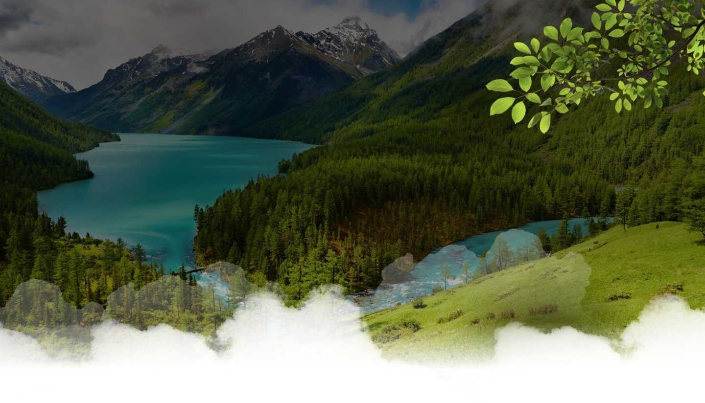 Отзывы на компанию Травы Алтая в Бийске c фото