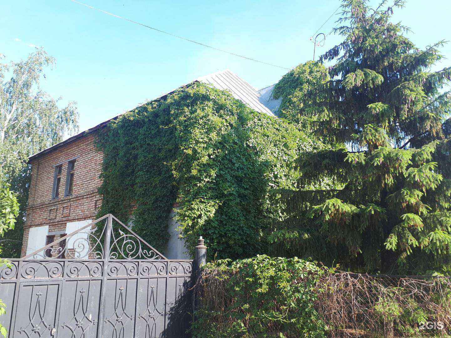 Отзывы на компанию Цера в Пензе c фото - фотография 2 из 2