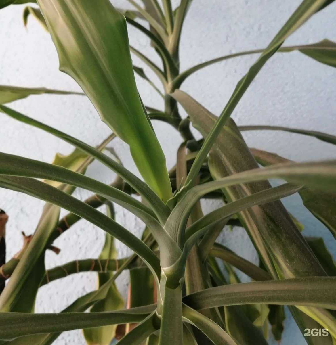 Отзывы на компанию Научно-производственная компания Элемент в Тюмени c фото