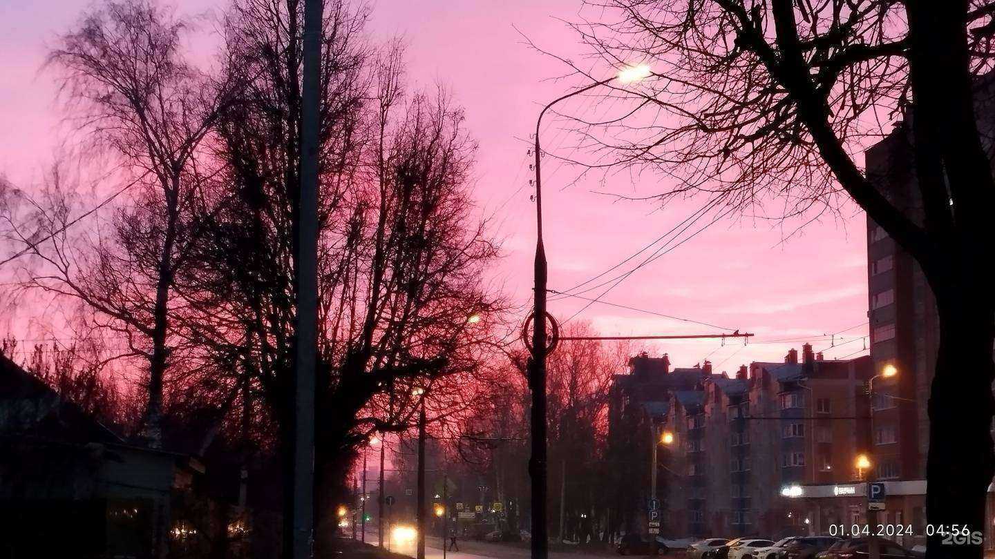 Отзывы на компанию Рис в Йошкар-Оле c фото - фотография 2 из 2