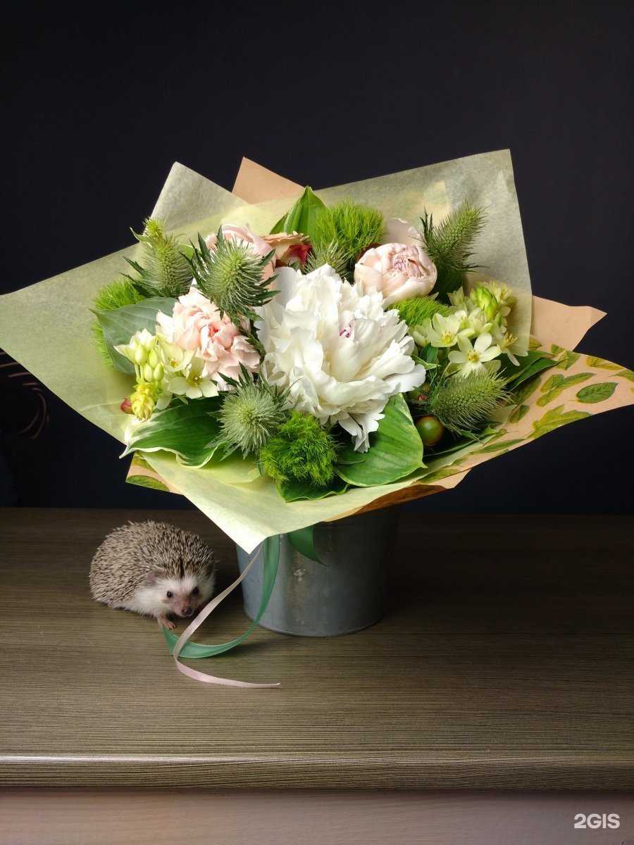 Отзывы на компанию Ёж в Ярославле c фото