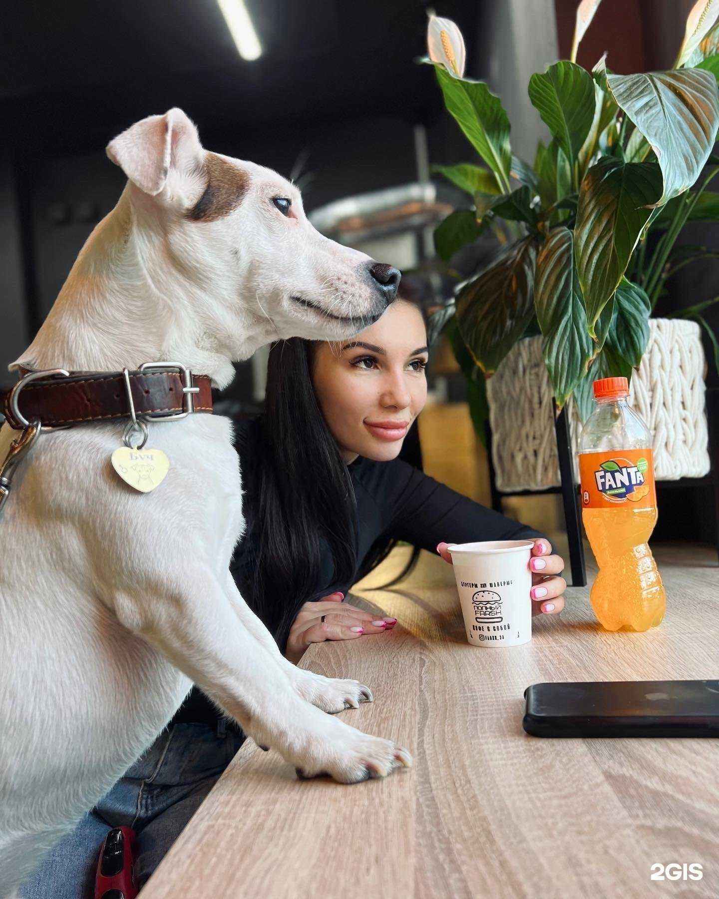 Отзывы на компанию Полный farsh в Калининграде c фото