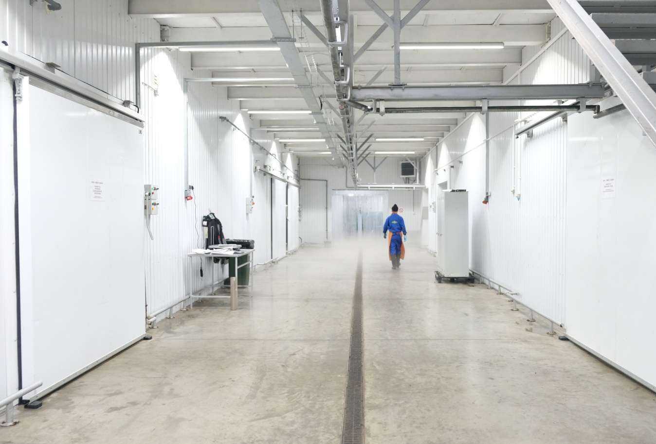 Отзывы на компанию Мясо Дона в Ростове-на-Дону c фото