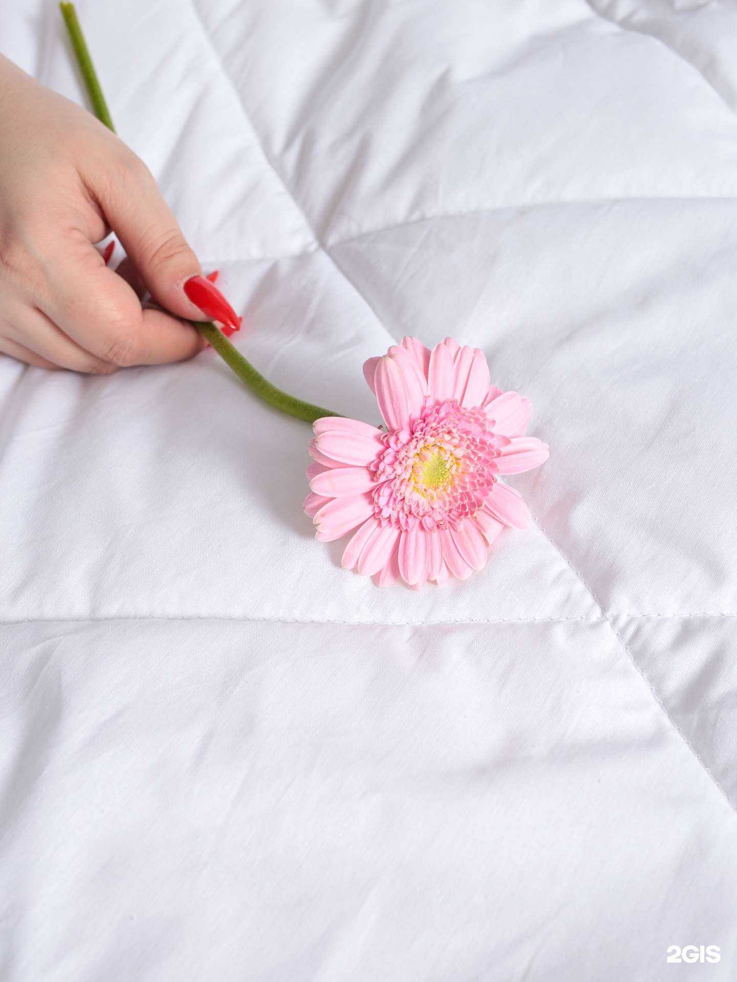 Отзывы на компанию Ароматекс в Иванове c фото