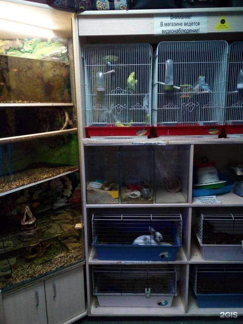 Отзывы на компанию Барбус в Новокузнецке c фото