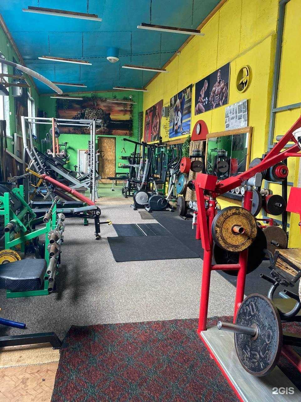 Отзывы на компанию Кошара в Чебоксарах c фото