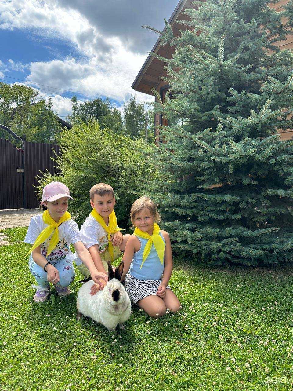 Отзывы на компанию Бельчонок в г. Химки c фото