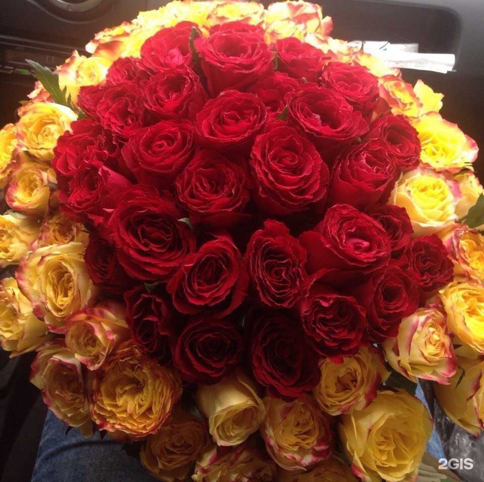 Отзывы на компанию Red Rose в Ульяновске c фото