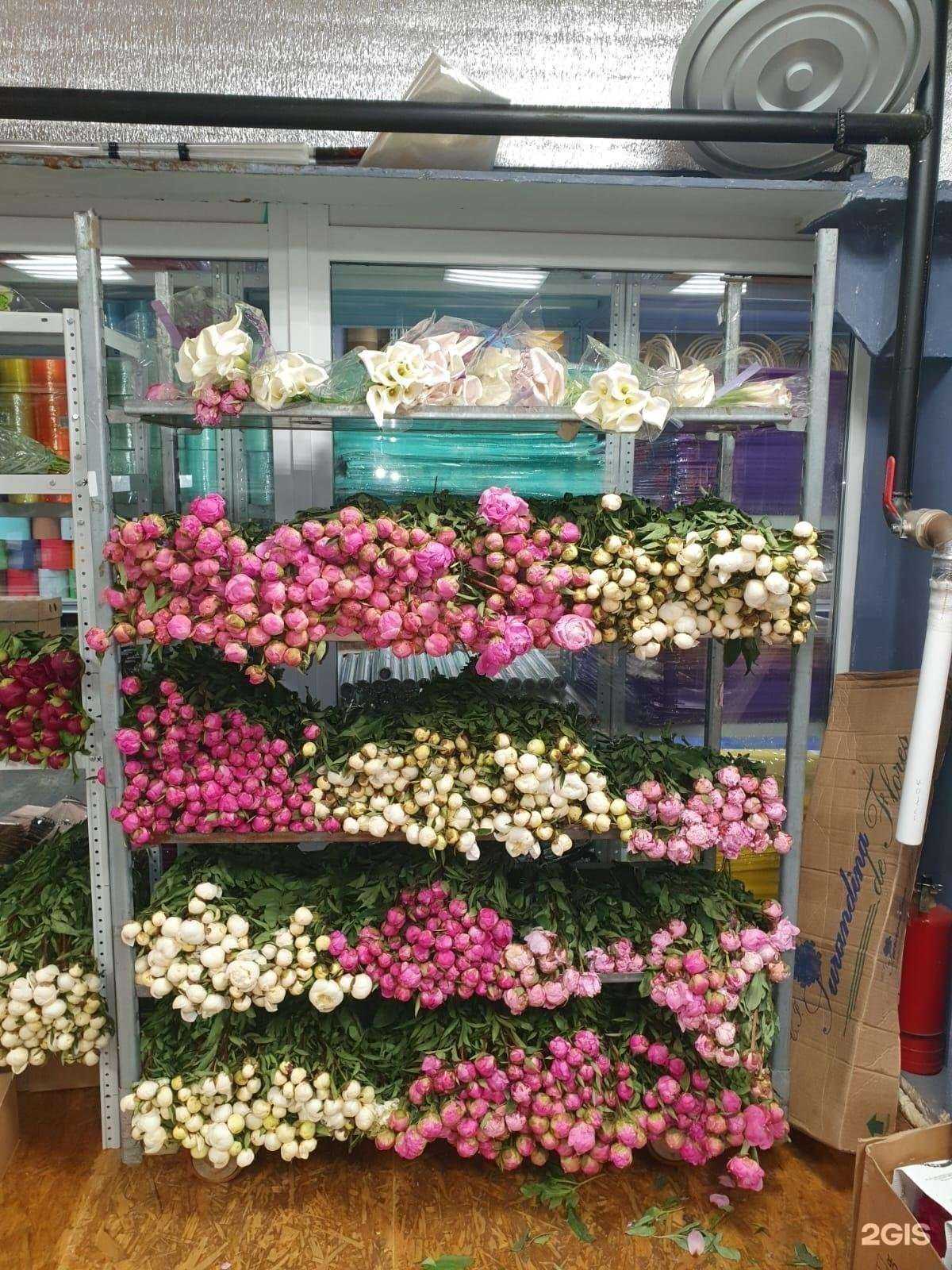 Отзывы на компанию Цветlоff  в Уфе c фото