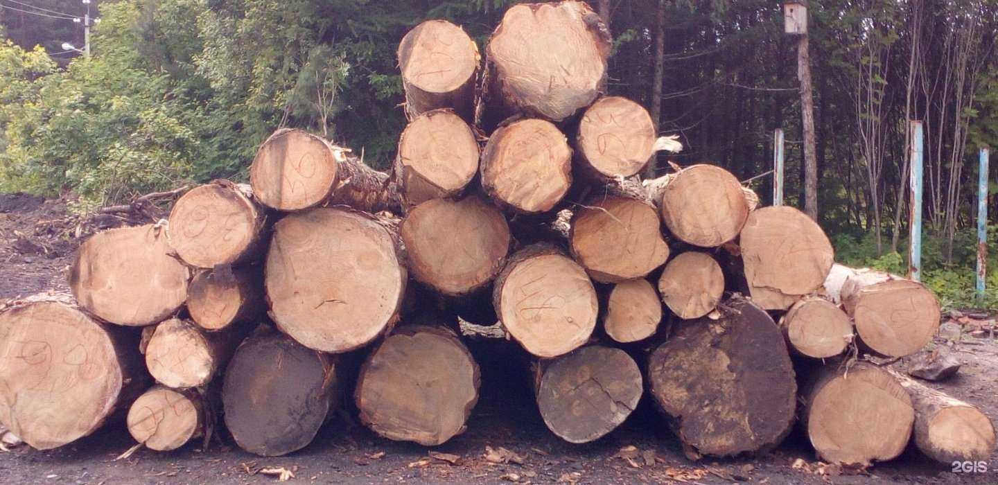 Отзывы на компанию Промышленновское лесничество в Кемерове c фото