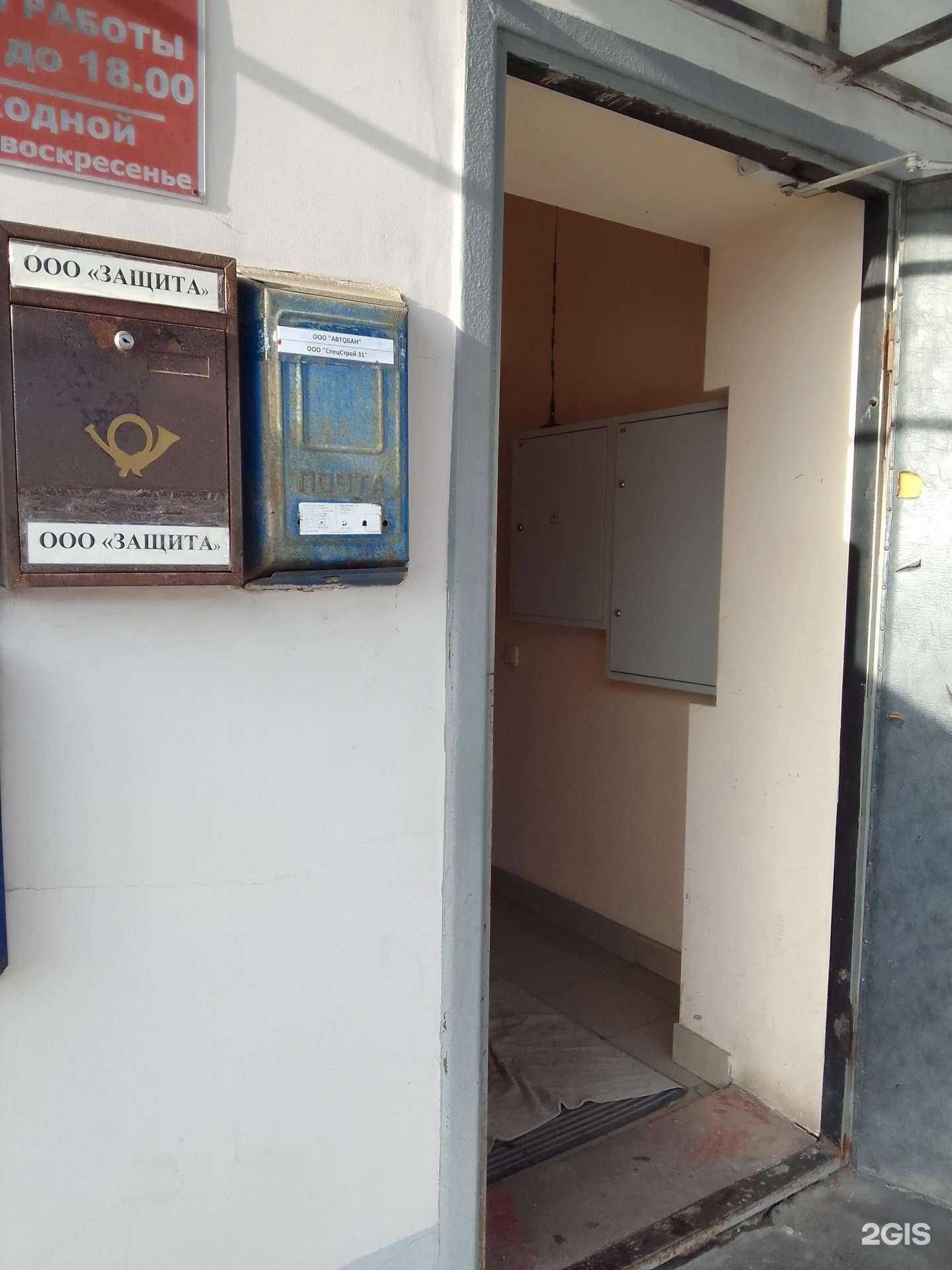 Отзывы на компанию Защита в Белгороде c фото