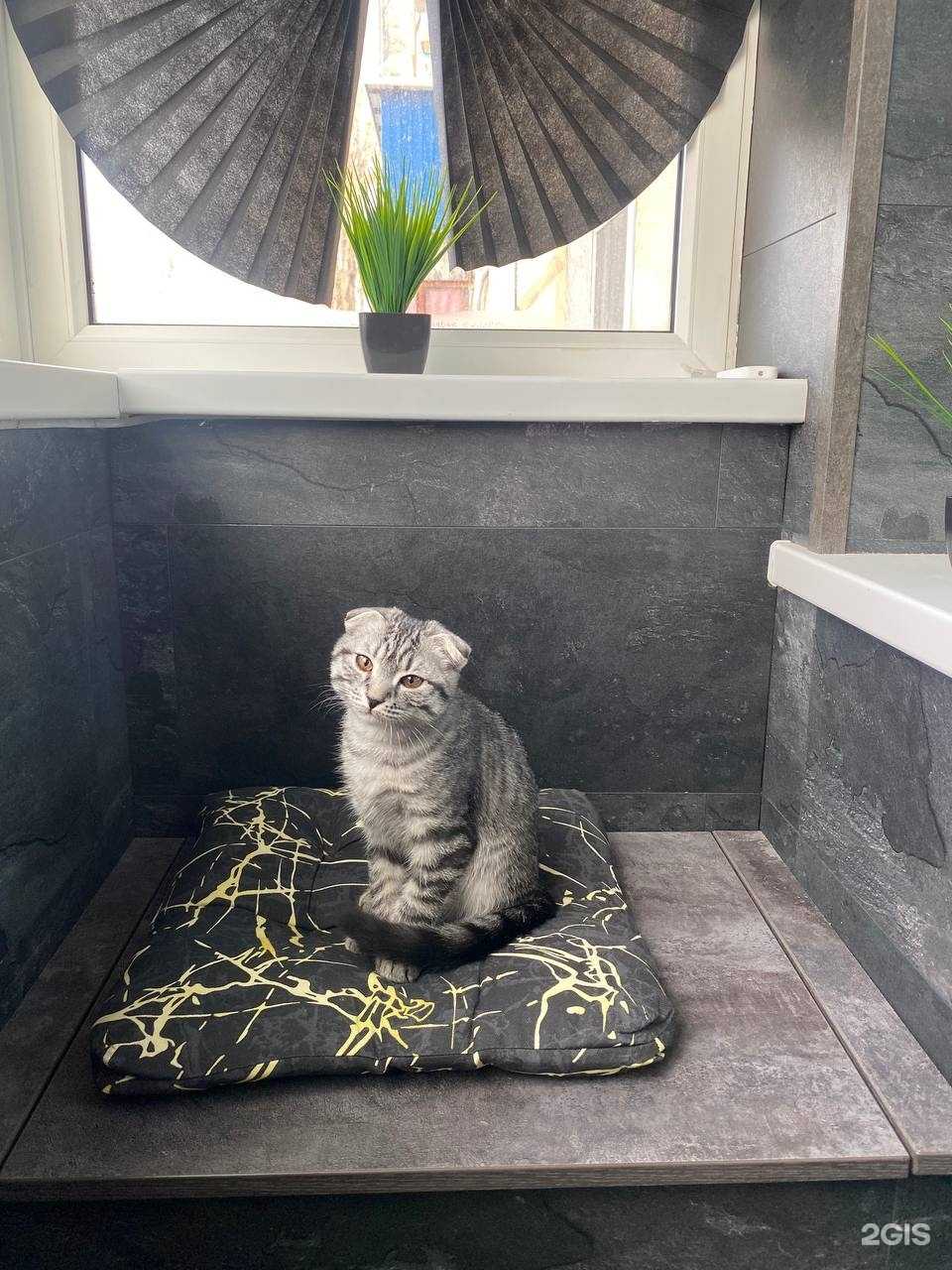 Отзывы на компанию КакСвоим в Улан-Удэ c фото