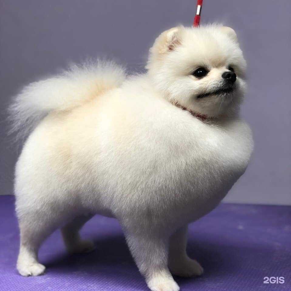 Отзывы на компанию СтилягиНВ в Нижневартовске c фото